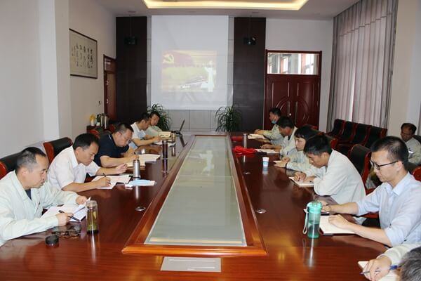 華浩軒公司黨總支舉行迎“七一”主題黨日活動(dòng)