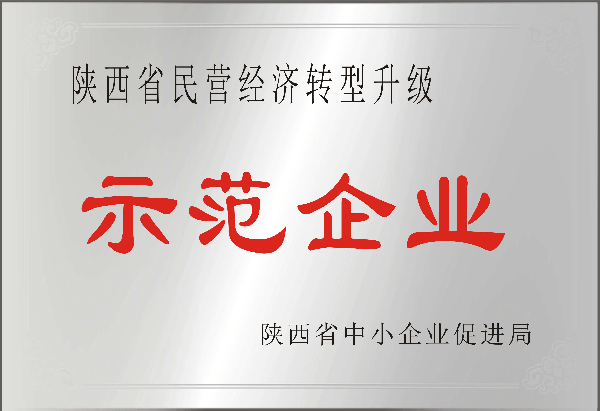 陜西省民營(yíng)經(jīng)濟(jì)轉(zhuǎn)型升級(jí)示范企業(yè)