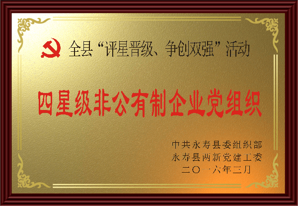 四星級(jí)非公有制企業(yè)黨組織